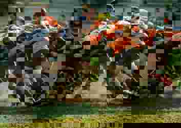 group retreats for sports teams