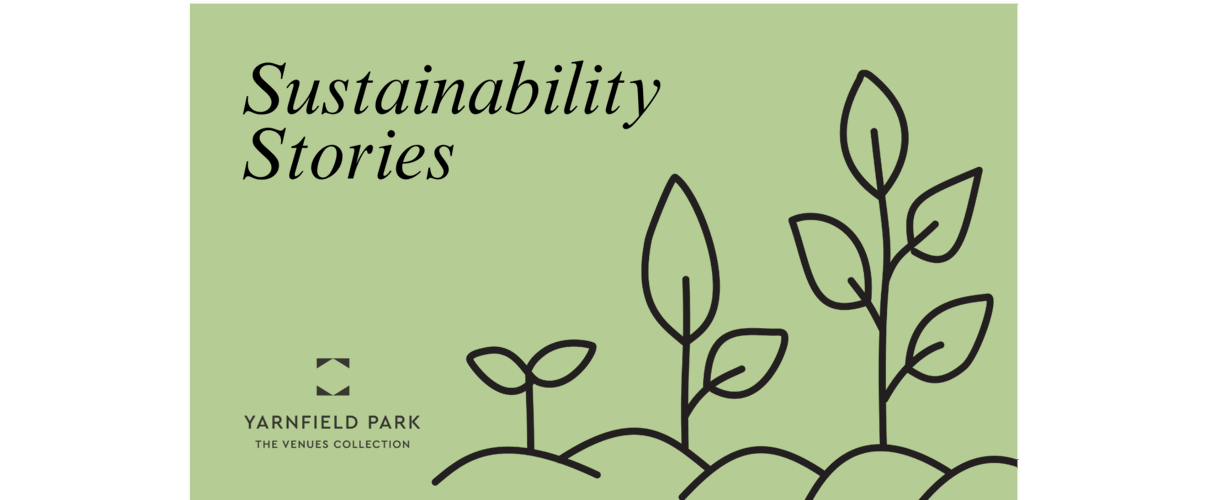 Untitled design (20).png