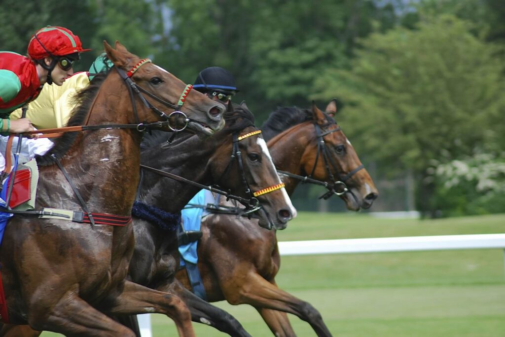 horses racing