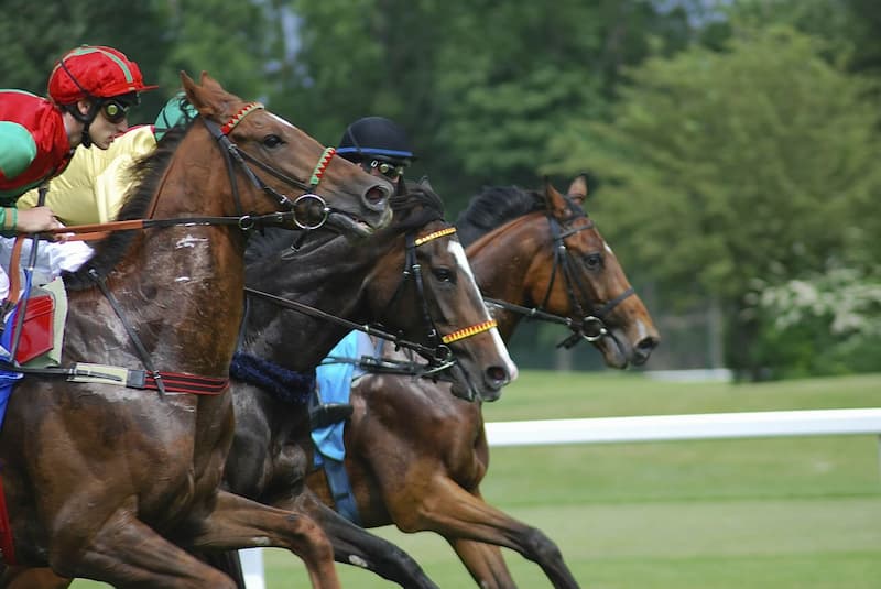 Uttoxeter Racecourse